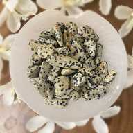 Crystal Tumble Stone Dalmatian Jasper
