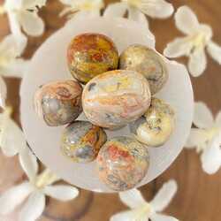Crazy-lace-agate-tumble-stone