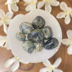 Kambaba-jasper-tumble-stone