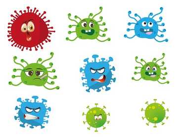 Support Your Immune System Naturally