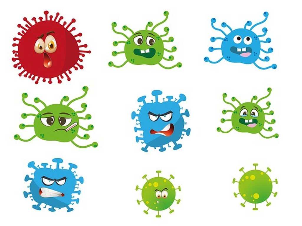 Virus g1973dffe6 640