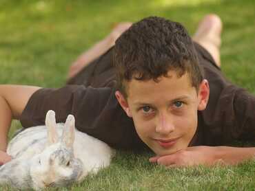 Allergy Related Sinus Problems