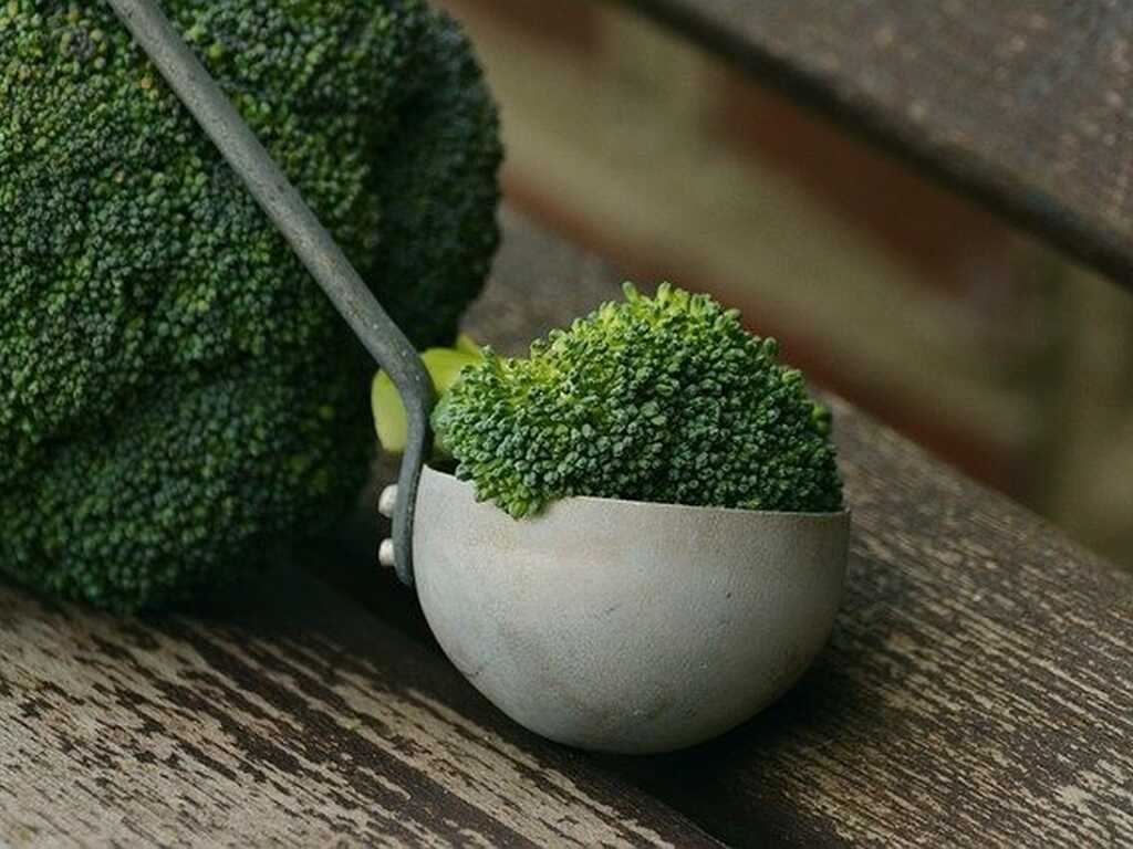 Broccoli 1974801 640