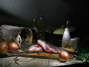 Why are Omega Oils so Important?