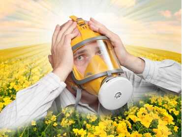 Natural Solutions for Hay Fever