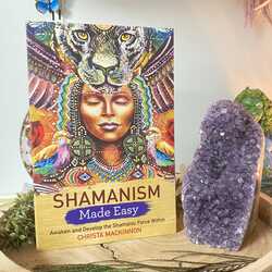 Shamanism-made-easy-book