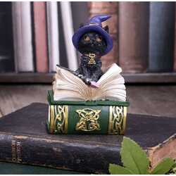 Binx-black-cat-trinket-box-Wicca