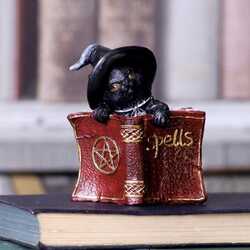 Black-cat-spell-book-altar-wicca