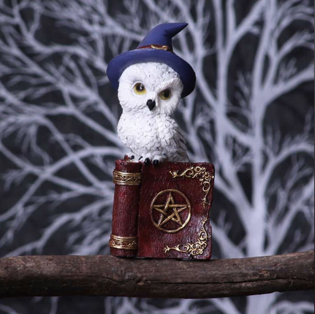 Wizard-owl-wicca