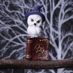 Wizard-owl-wicca