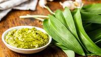 Wild Garlic and Watercress Pesto