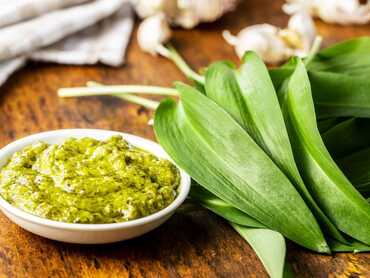Wild Garlic and Watercress Pesto
