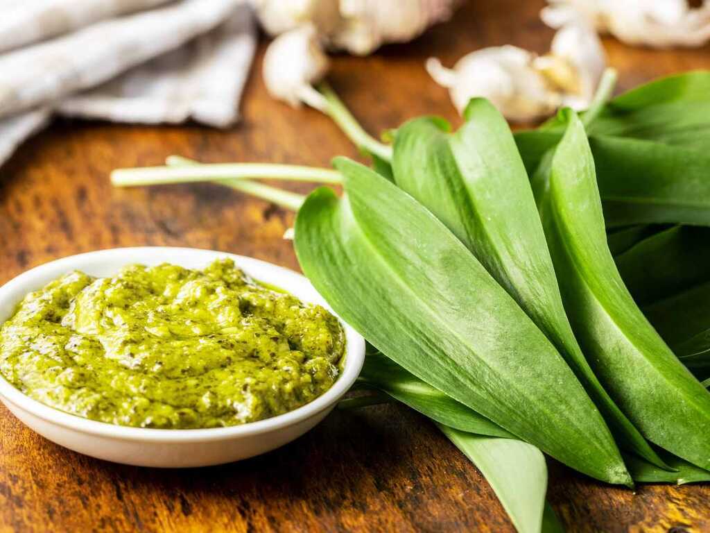 Wild Garlic Pesto